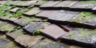 Overbury roof repair costs